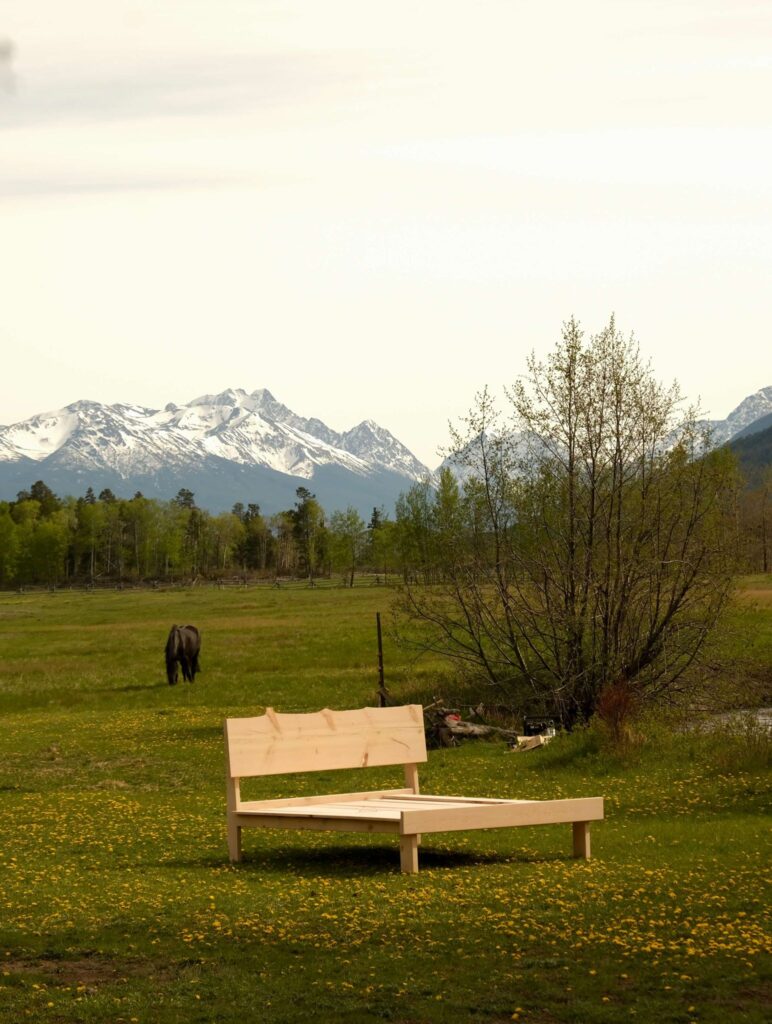 Bed In field